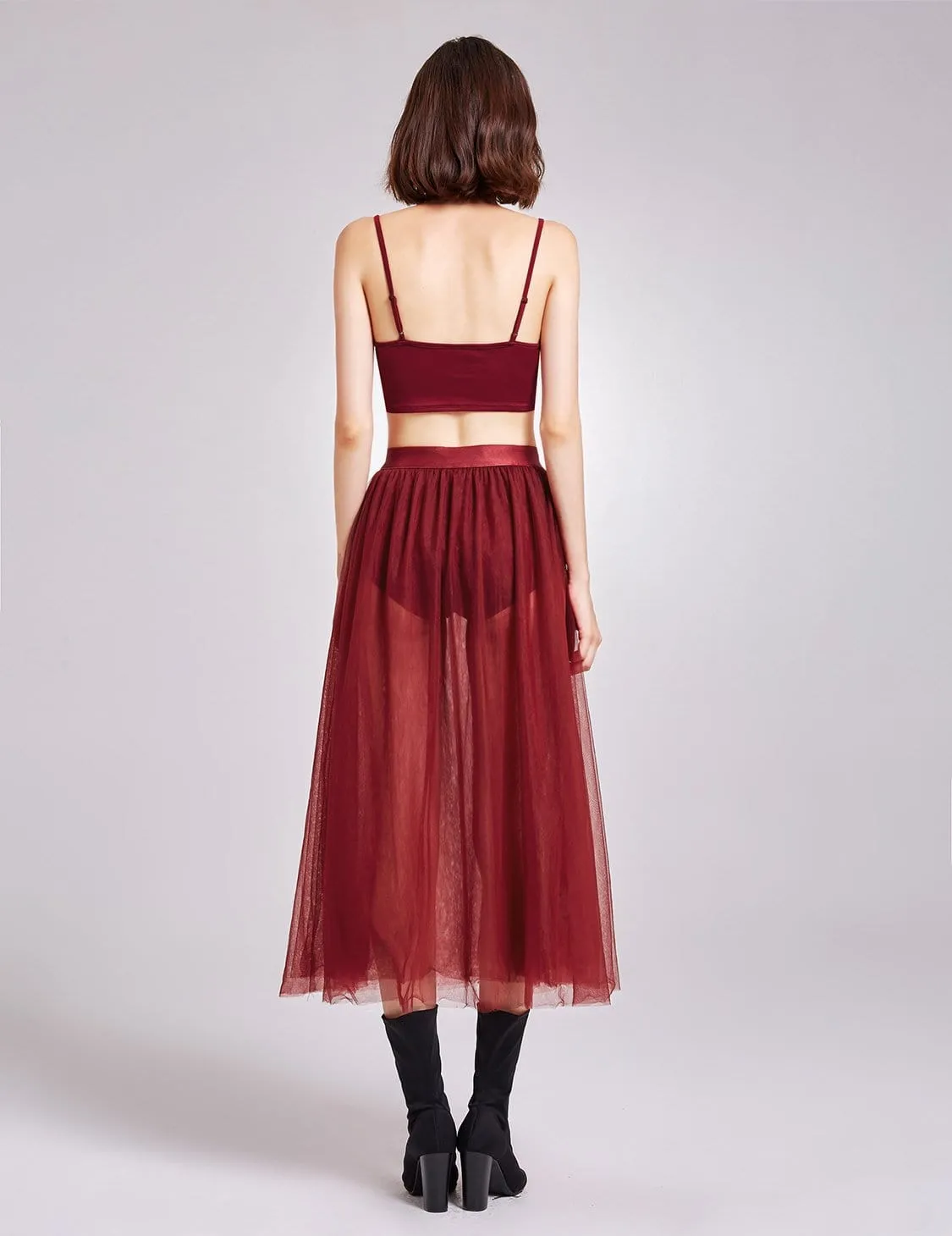 Alisa Pan Sheer Tulle Maxi Skirt