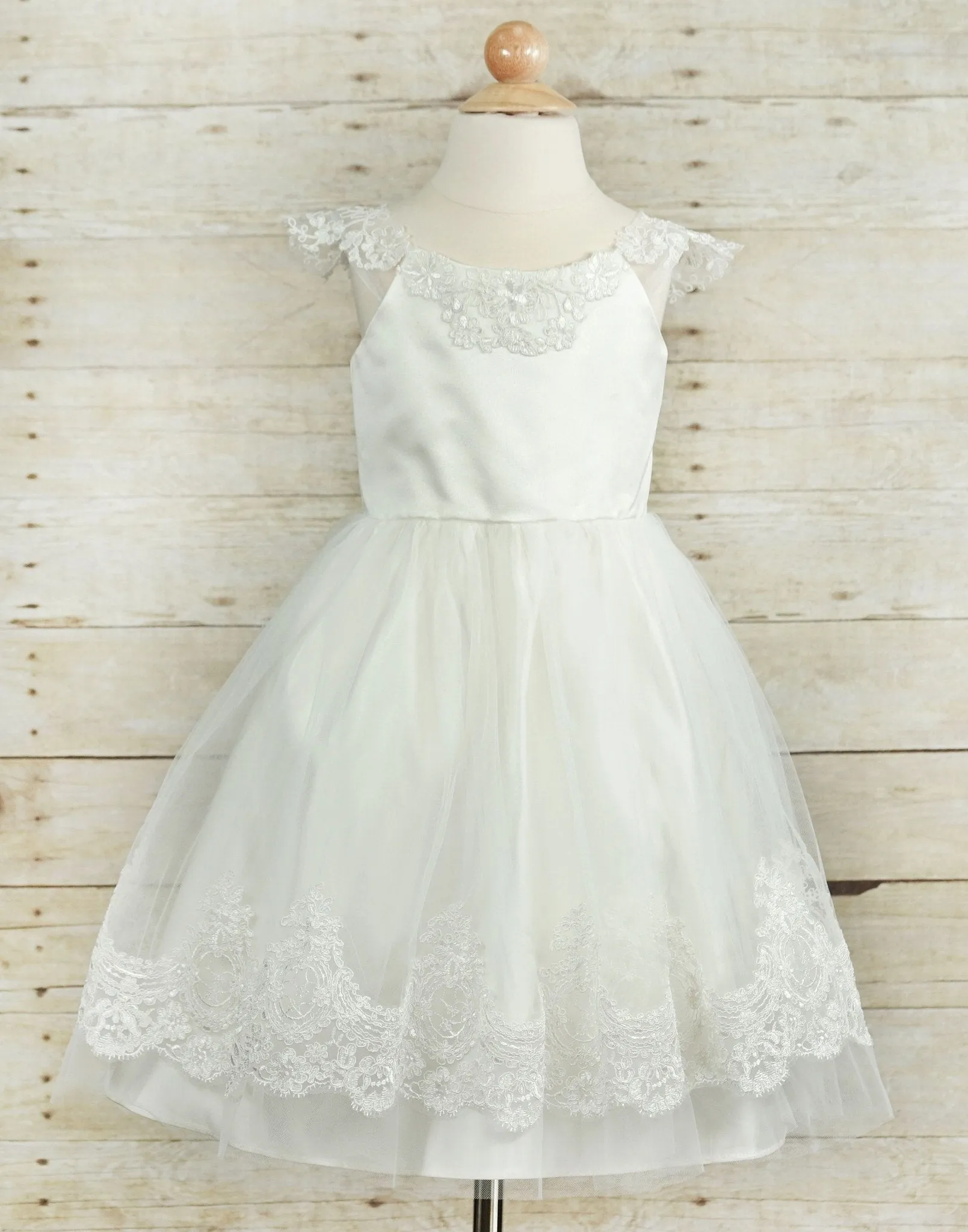 Alluring Embroidered Lace and Mesh Tulle Dress - White