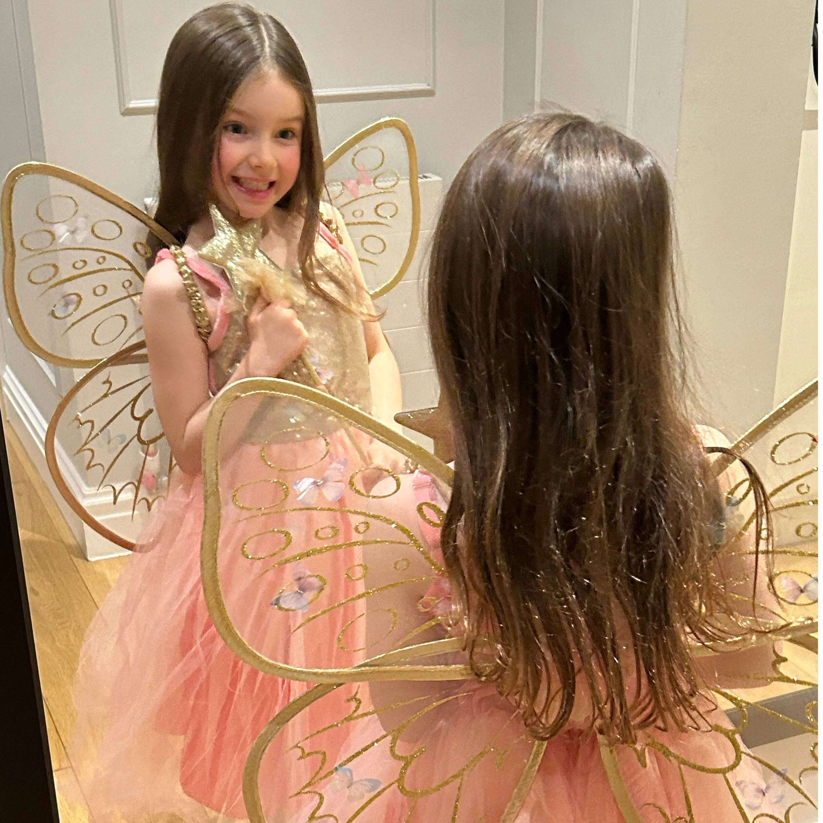 Butterfly Fairy Dress With Wings