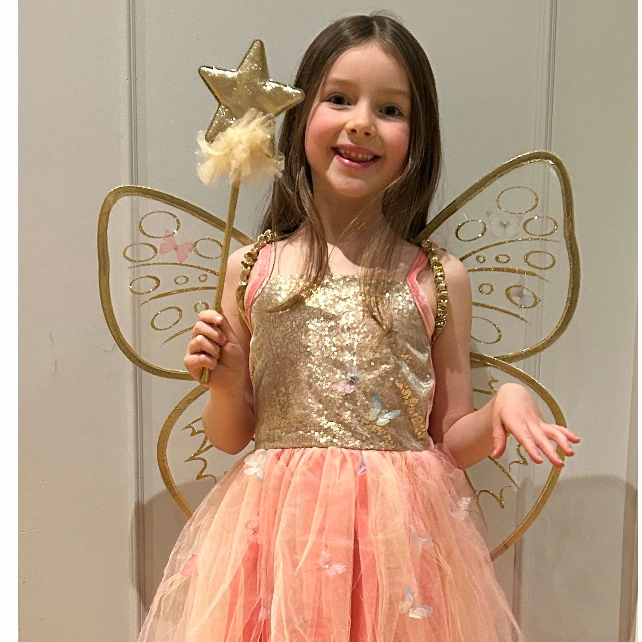 Butterfly Fairy Dress With Wings