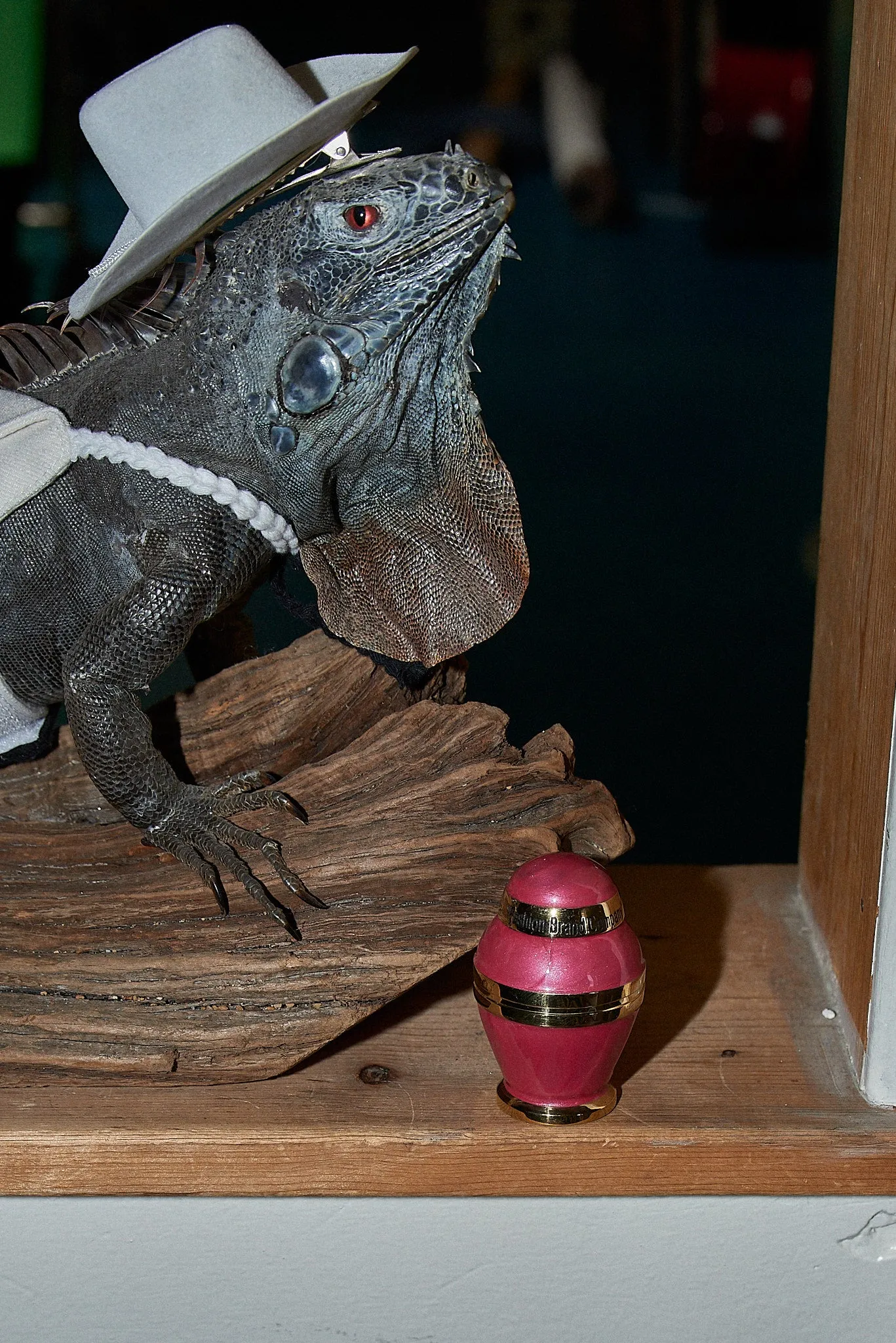 Fashion Brand Company Mini Lizard Urn