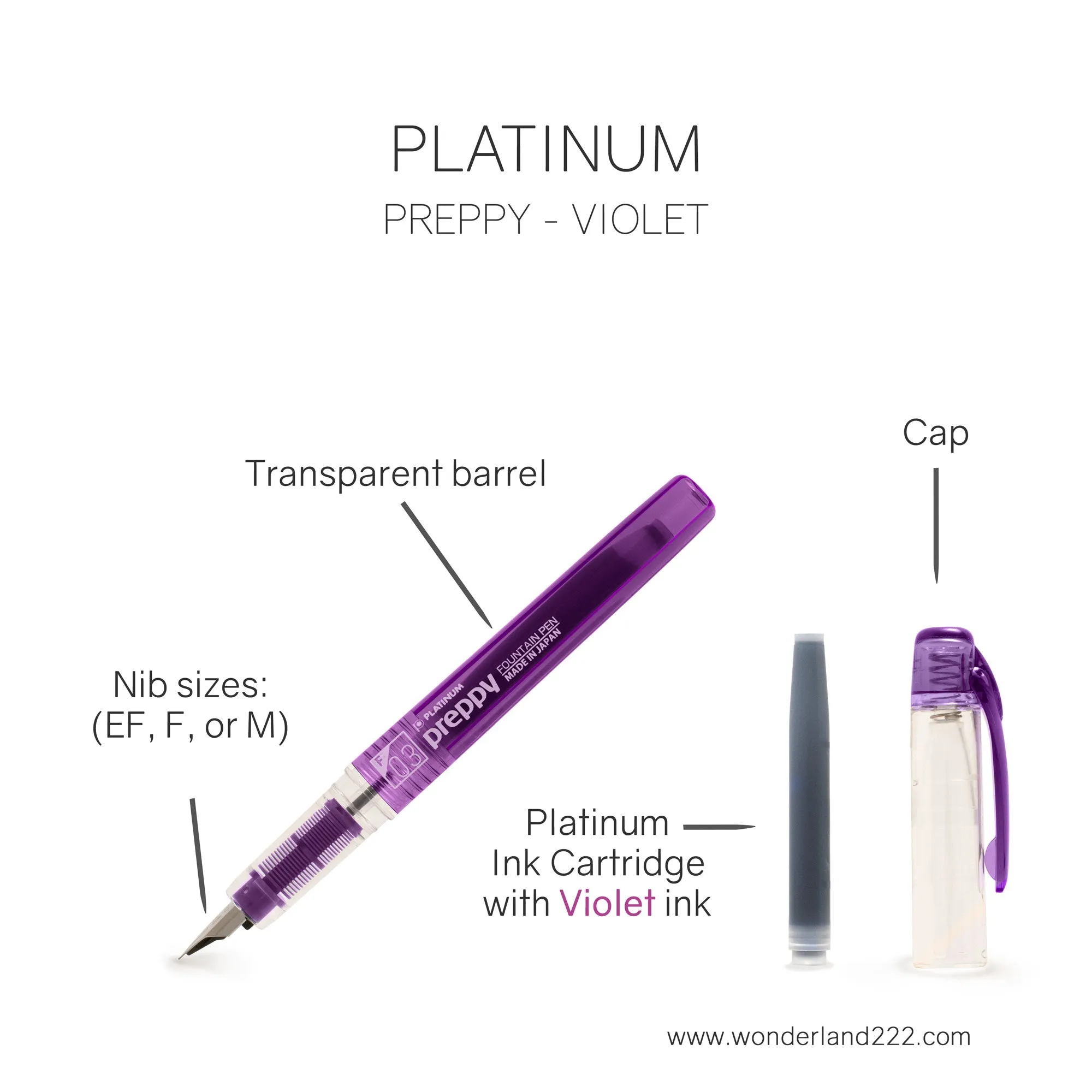 Platinum Fountain Pen | Preppy