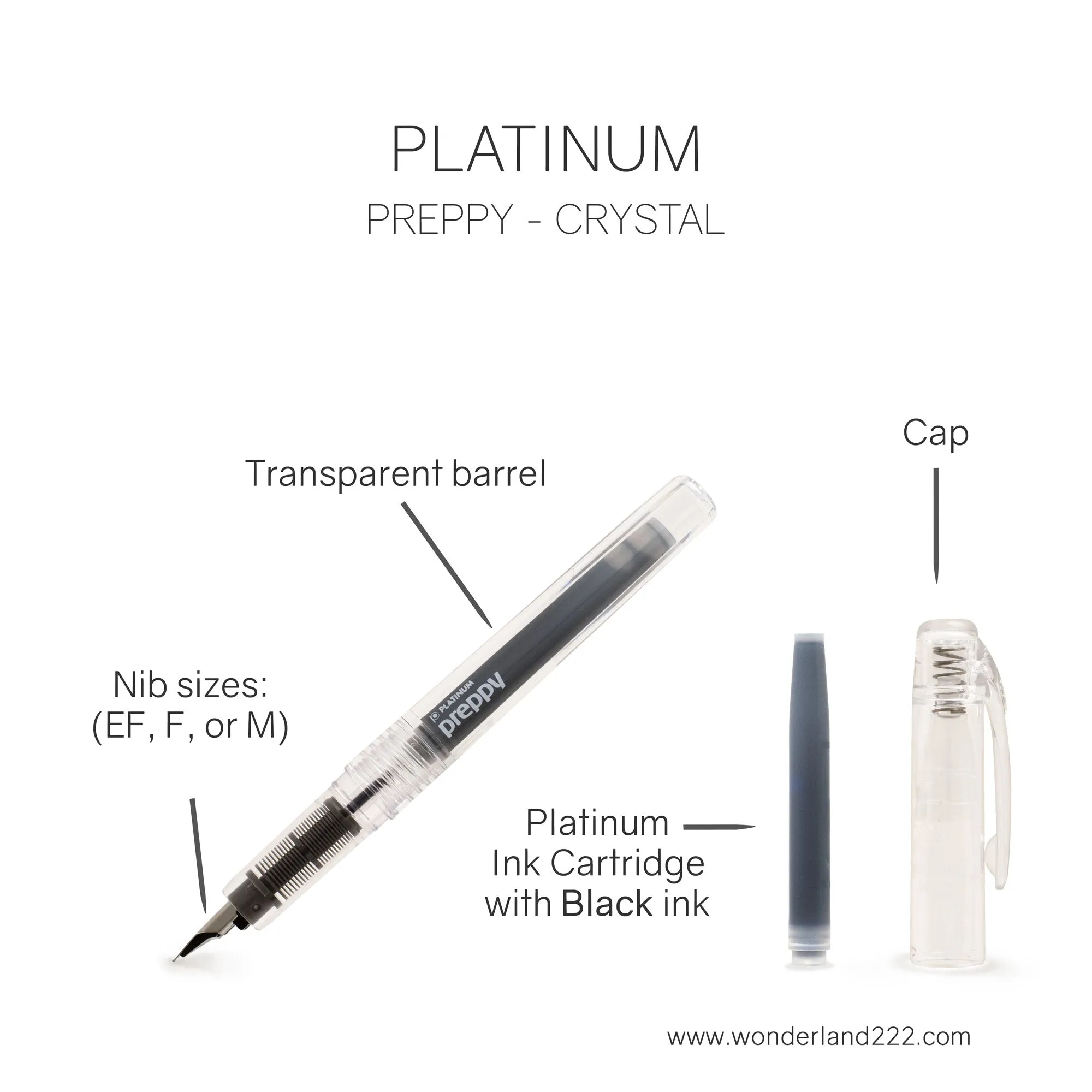 Platinum Fountain Pen | Preppy