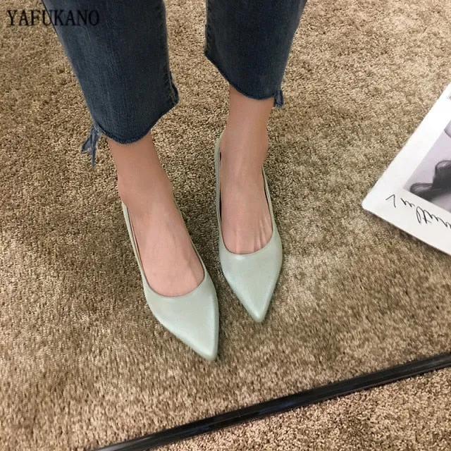 Simple Pointed High Heels/pumps-5 colors